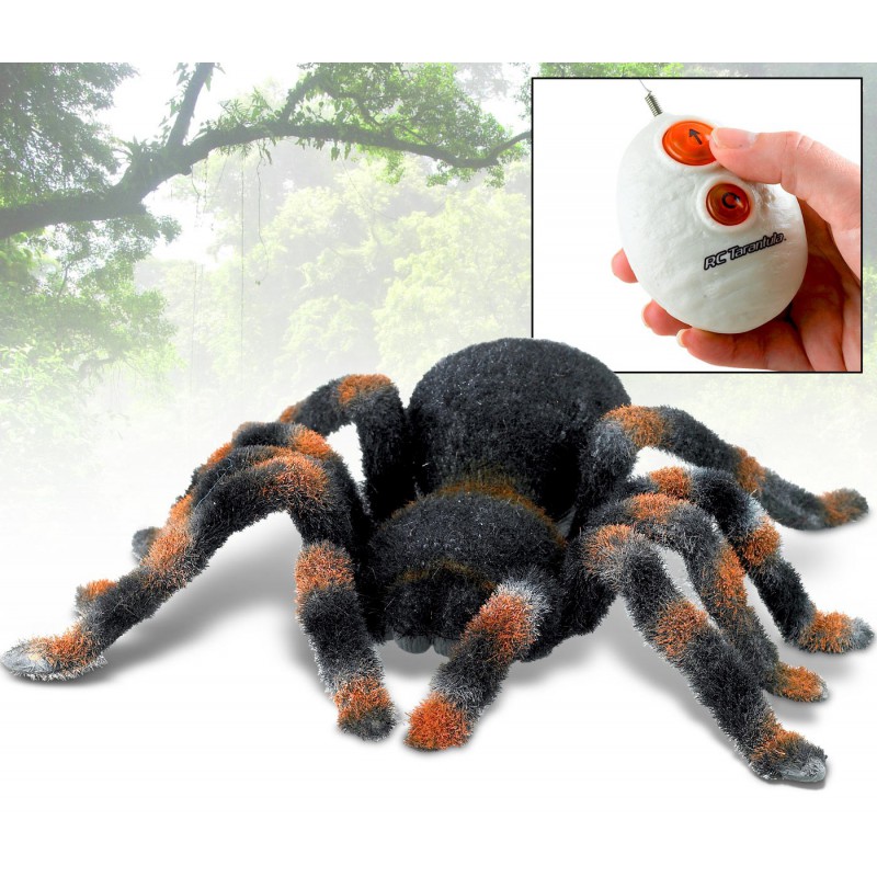 Tarentule araignée télécommandée pour enfants, jouet effrayant